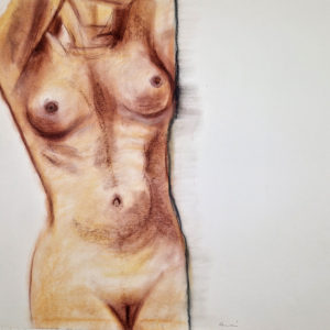 STUDY NUDE