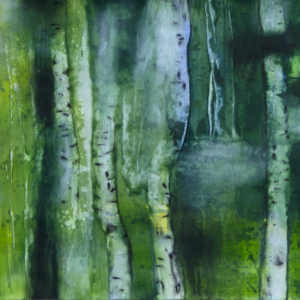 STUDY FOREST