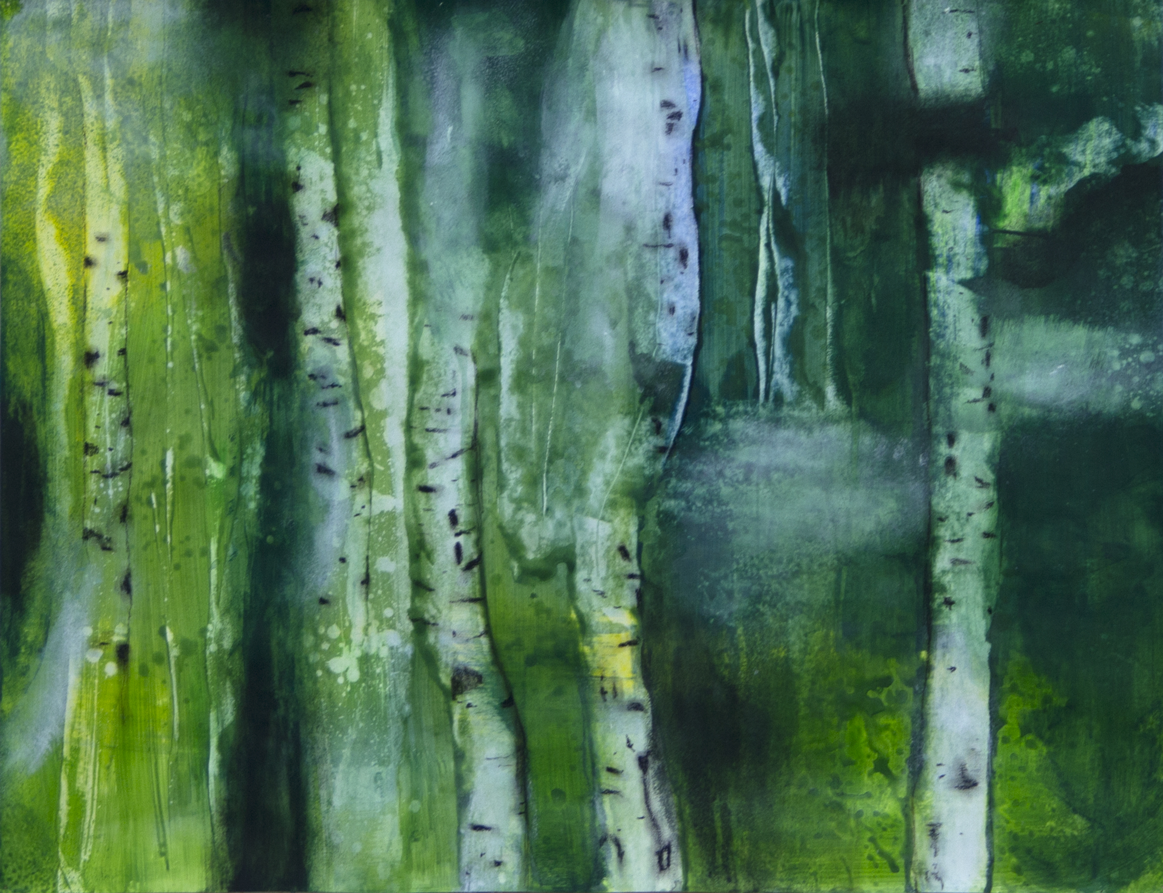 STUDY FOREST STUDY FOREST