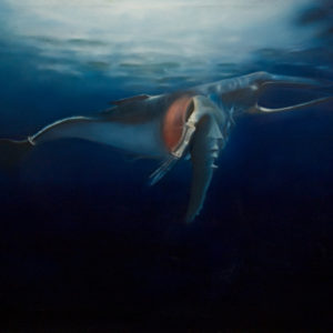 blue whale