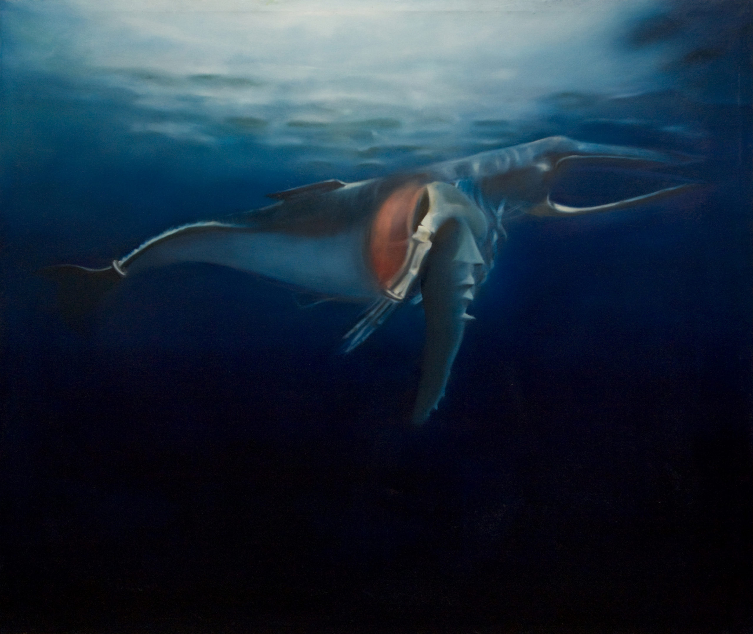 blue whale blue whale