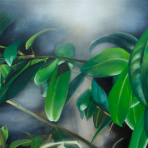 ghost greens