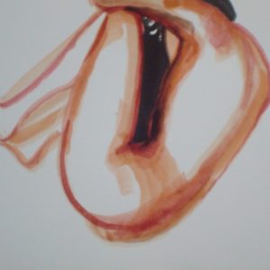 STUDY ACHILE N°2