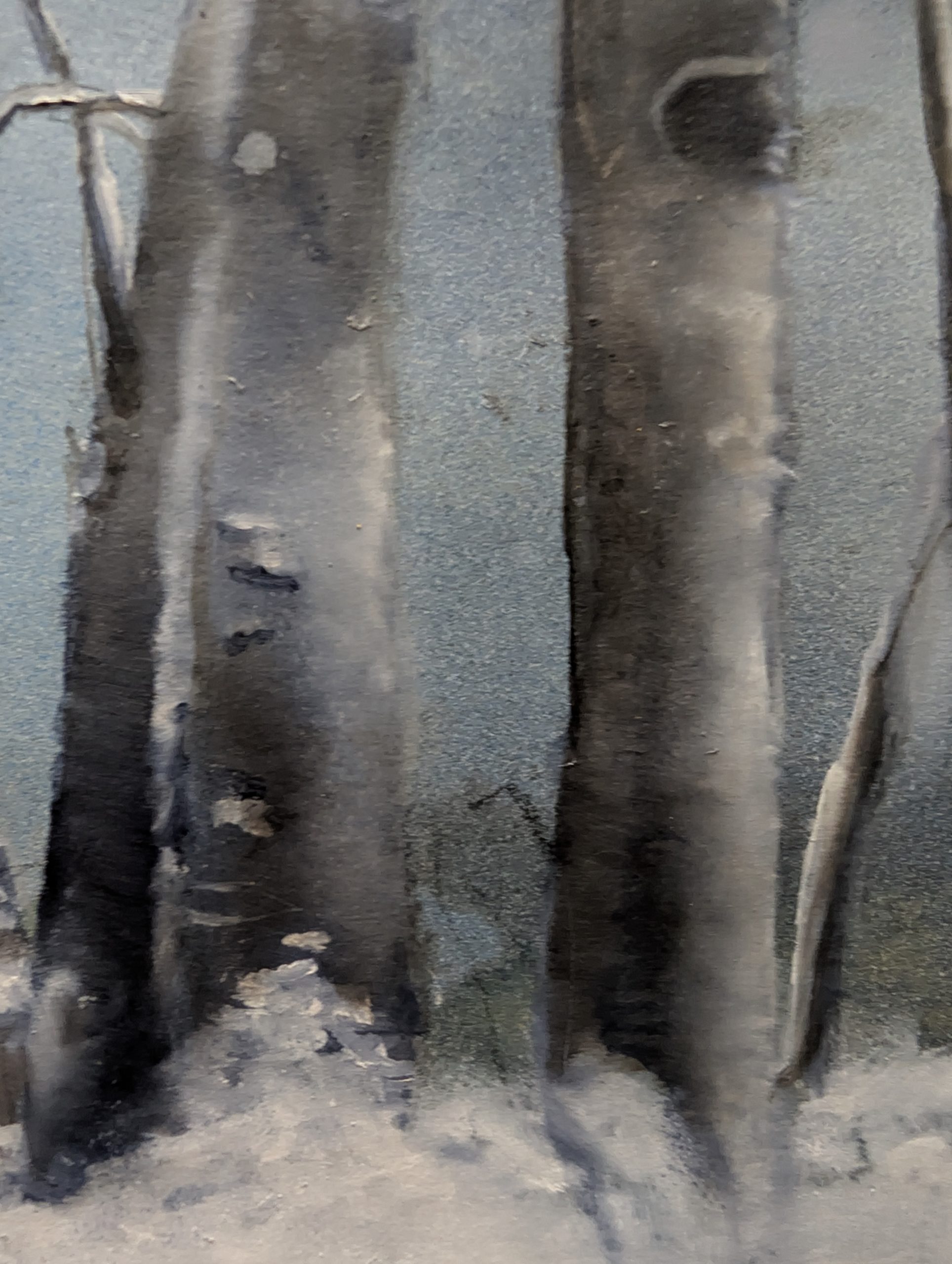 study rooting1 detail2 study rooting1 detail2