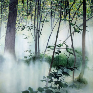 rootingdream8